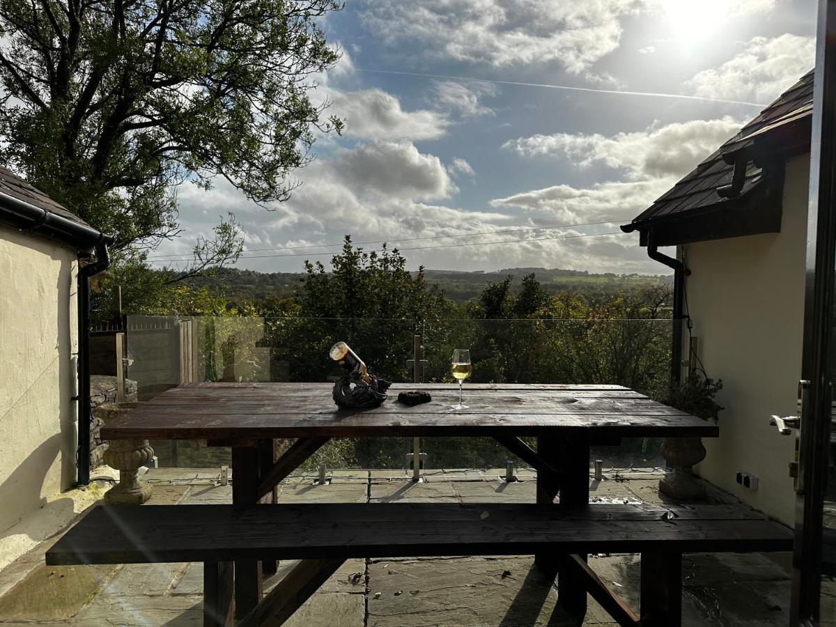 Coed Y Ddraig - Themed 3 Bedroom Cottage, With Bar & Pool Table Tregaron 외부 사진